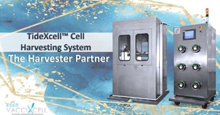 Why the TideXcell<sup>™</sup> Cell Harvesting System Is a 20/20